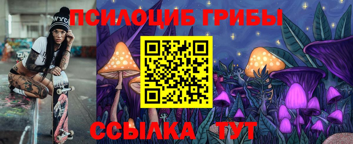 Куйбышев  Псилоцибиновые грибы мицелий  Вход с VPN 