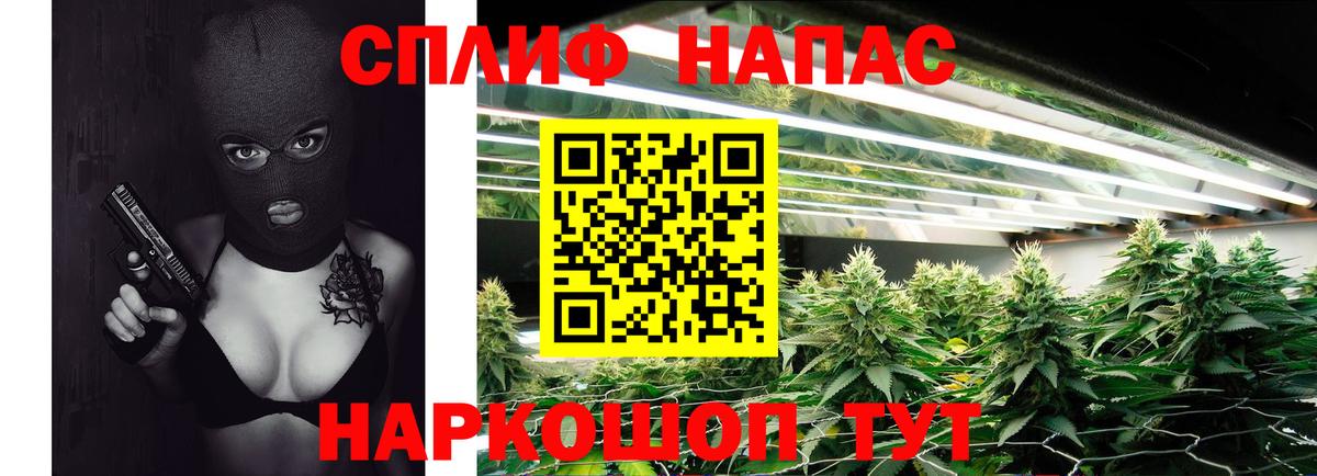 Каннабис Amnesia  Конопля VHQ  Вход с VPN  Куйбышев  Каннабис гибрид 